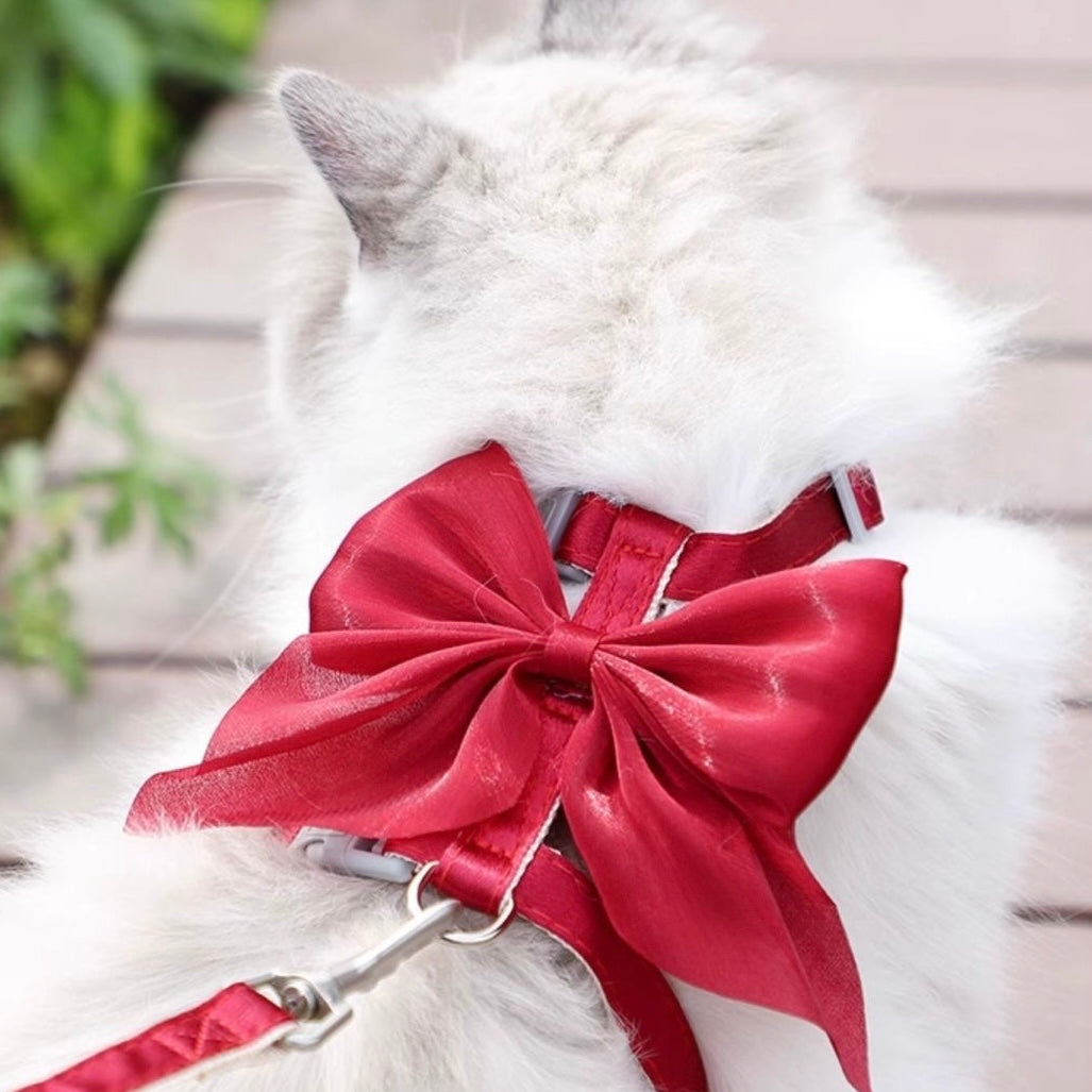 Cat & Dog Harness and Leash Set