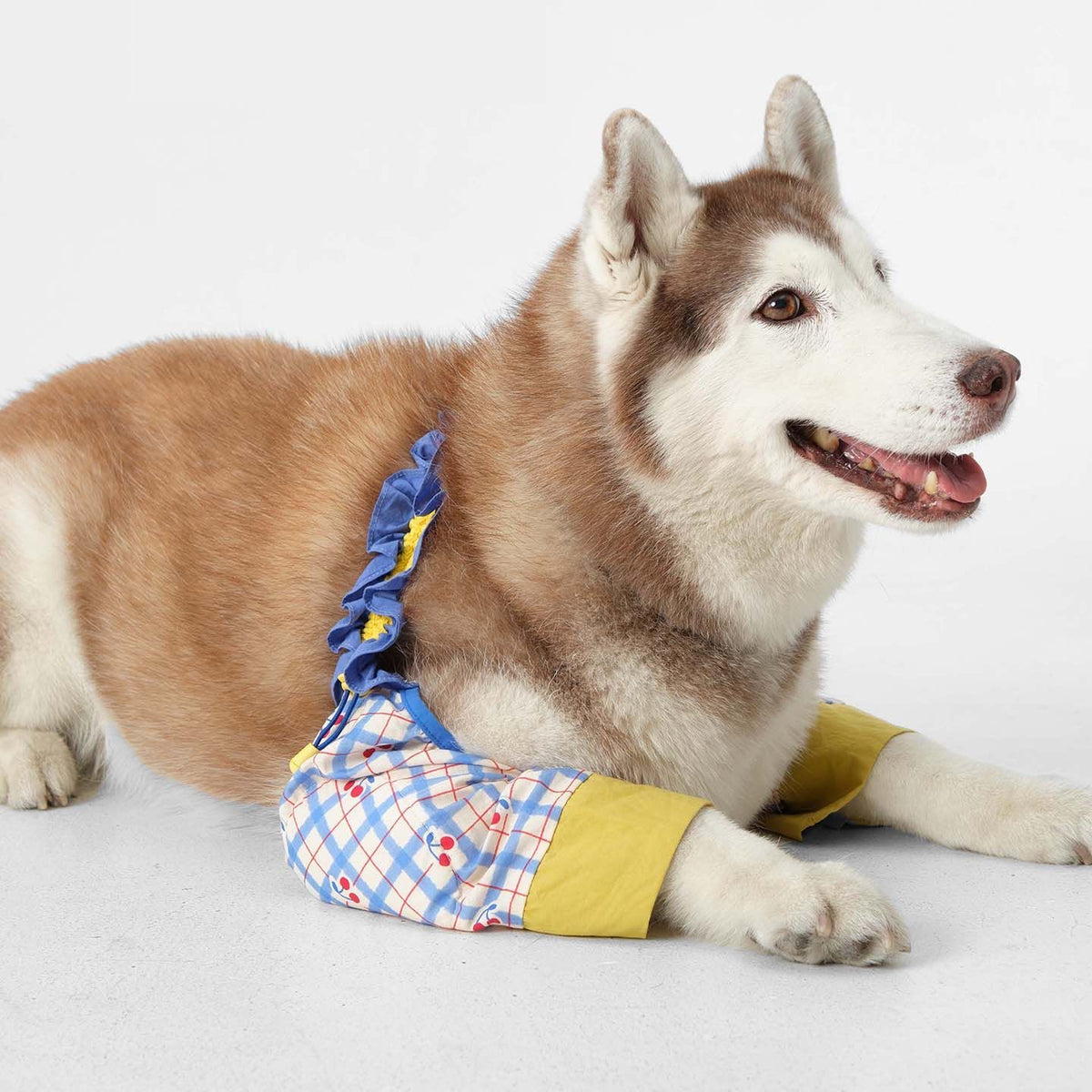 Cotton Dog Elbow Knee Protector Sleeves