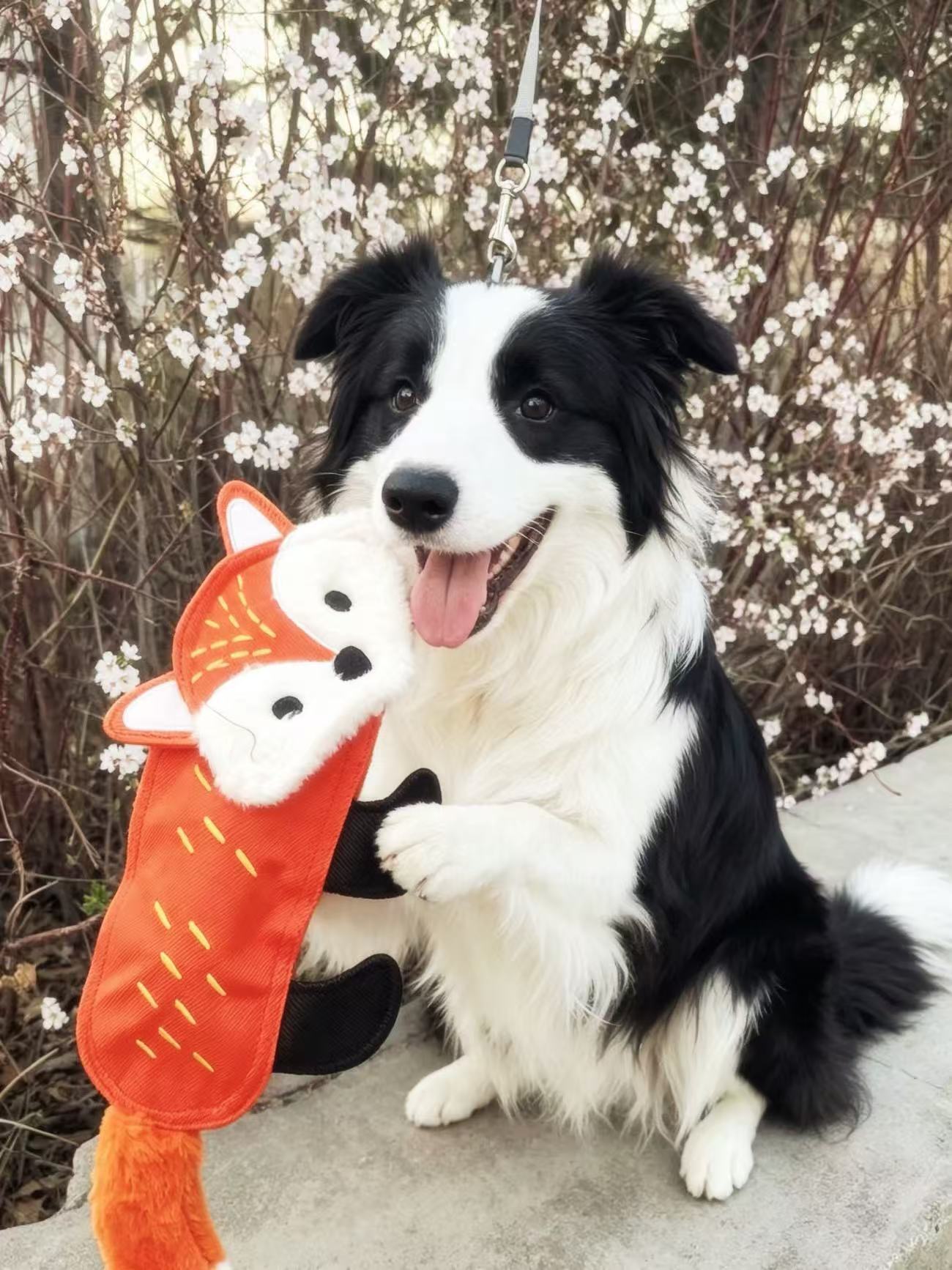 Squeaky No‑Stuffing Dog Toys
