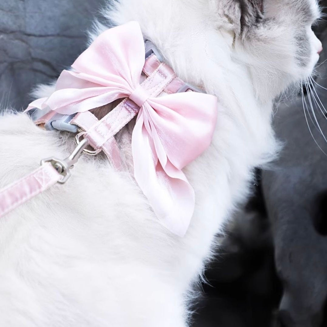 Cat & Dog Harness and Leash Set