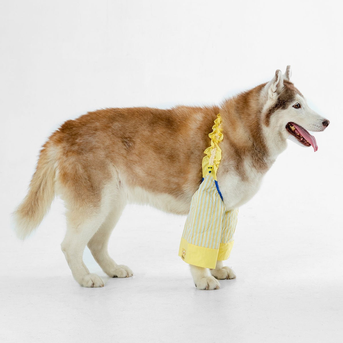 Cotton Dog Elbow Knee Protector Sleeves