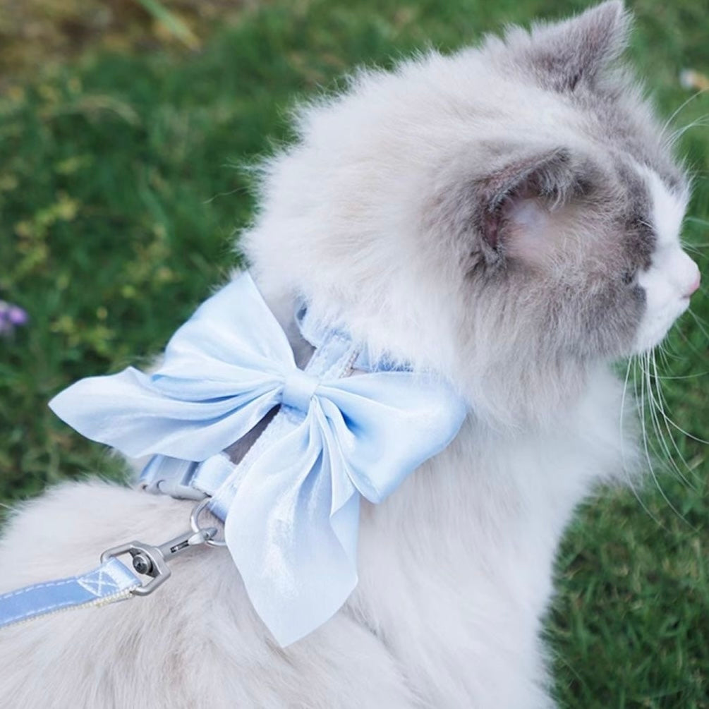 Cat & Dog Harness and Leash Set
