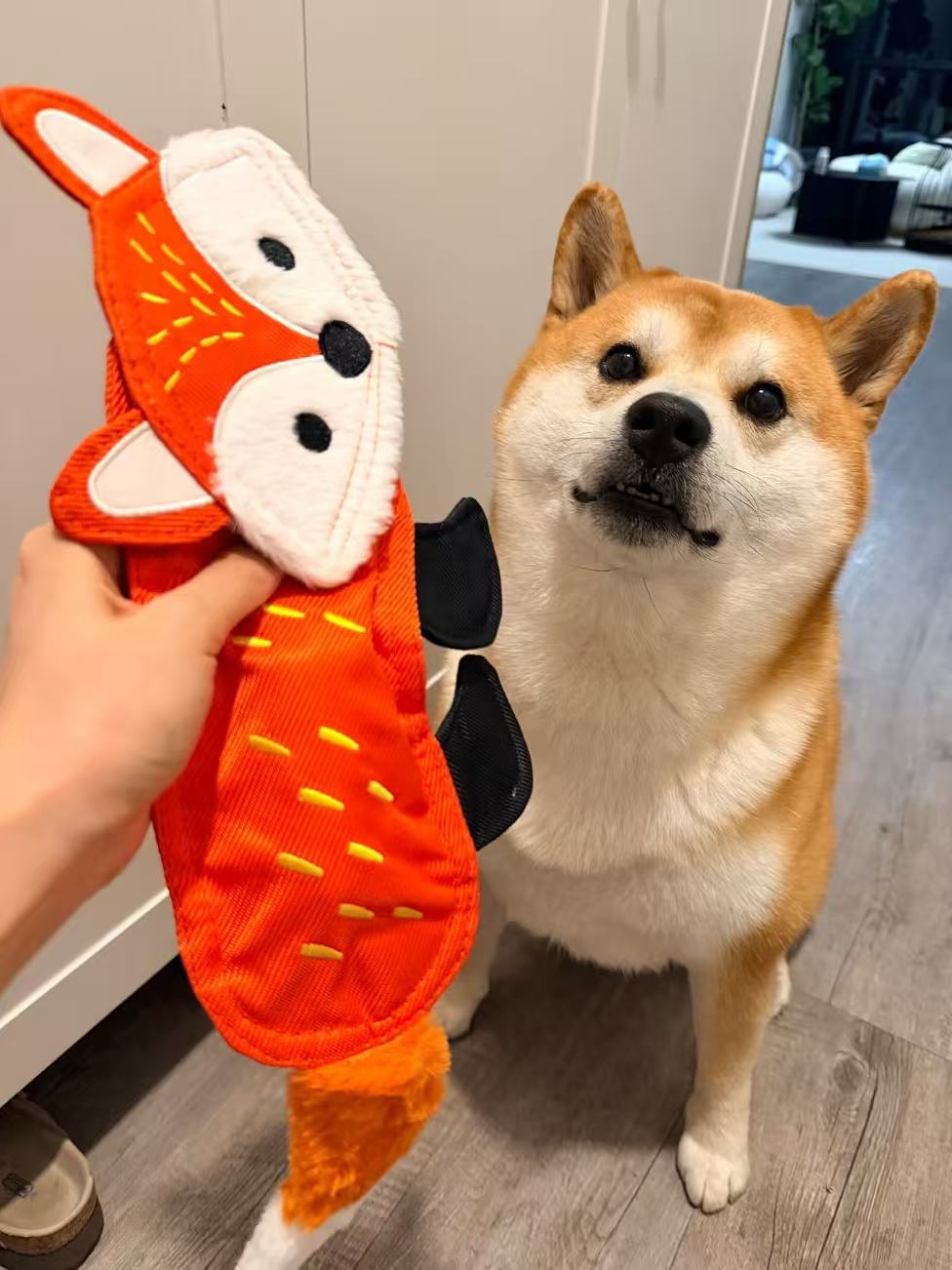 Squeaky No‑Stuffing Dog Toys